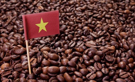Việt Nam trở thành nước cung cấp cà phê lớn thứ 3 cho Mỹ