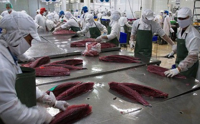 EVFTA mở rộng cửa xuất khẩu cho cá ngừ Việt Nam | Vietnam Foodexpo