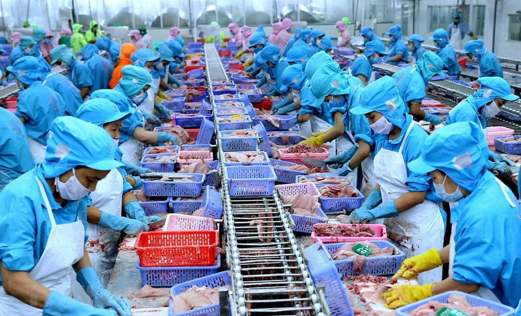 Thuế Section 301 ảnh hưởng như thế nào tới ngành thủy sản Việt Nam?
