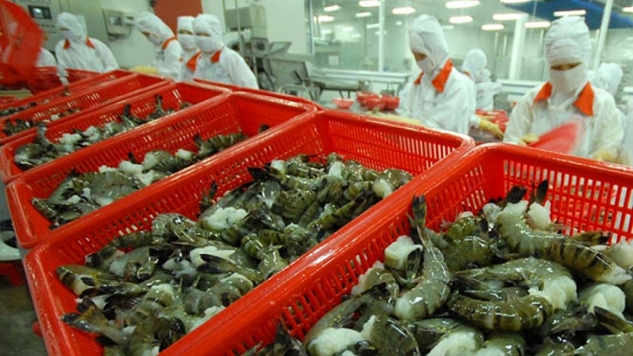Việt Nam tổng lực gỡ “thẻ vàng” IUU trong năm 2026, siết chặt truy xuất nguồn gốc thủy sản
